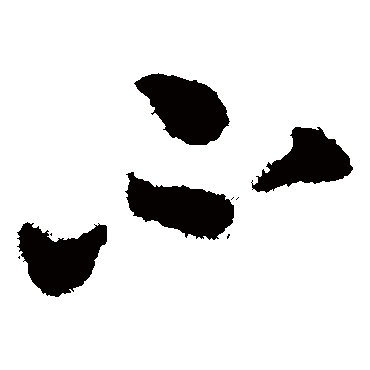 不（其他字帖） 蔡襄